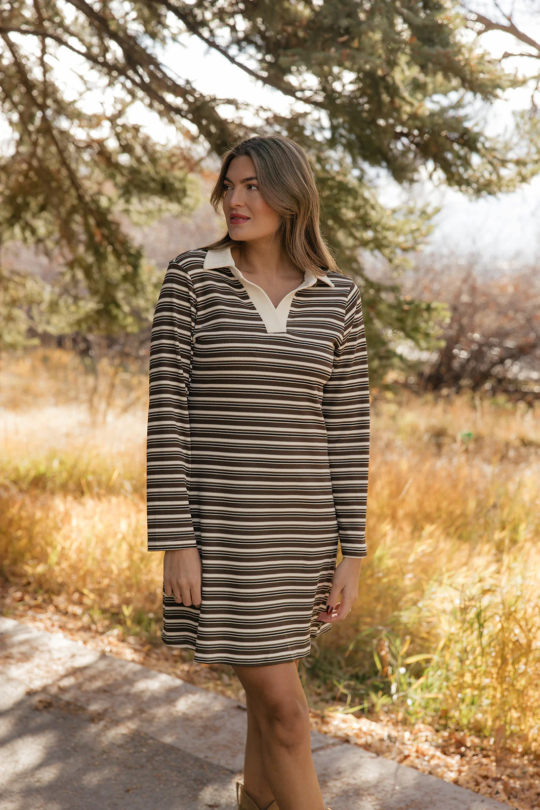 Charlotte Polo Dress - Image 4