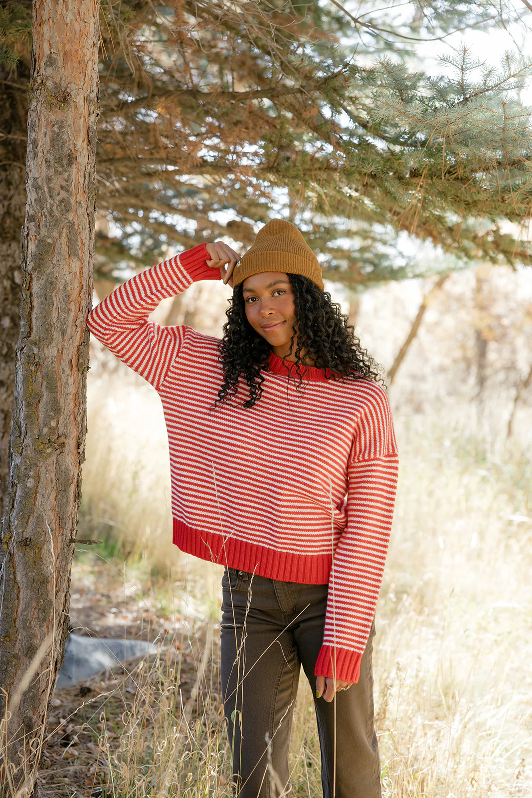 Cranberry Chalet Stripe Sweater - Image 2