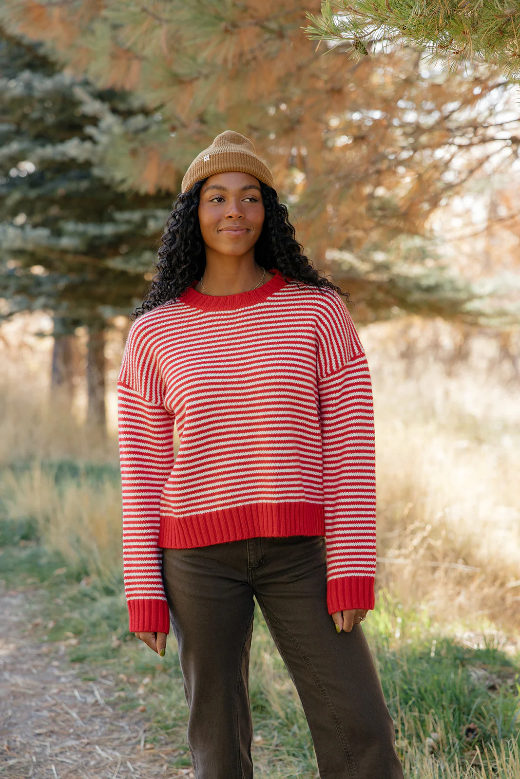 Cranberry Chalet Stripe Sweater - Image 4