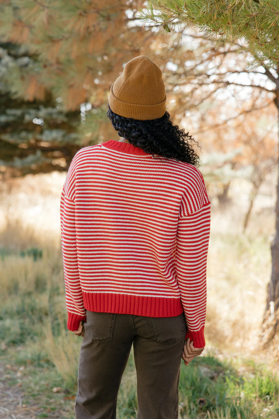 Cranberry Chalet Stripe Sweater - Image 5
