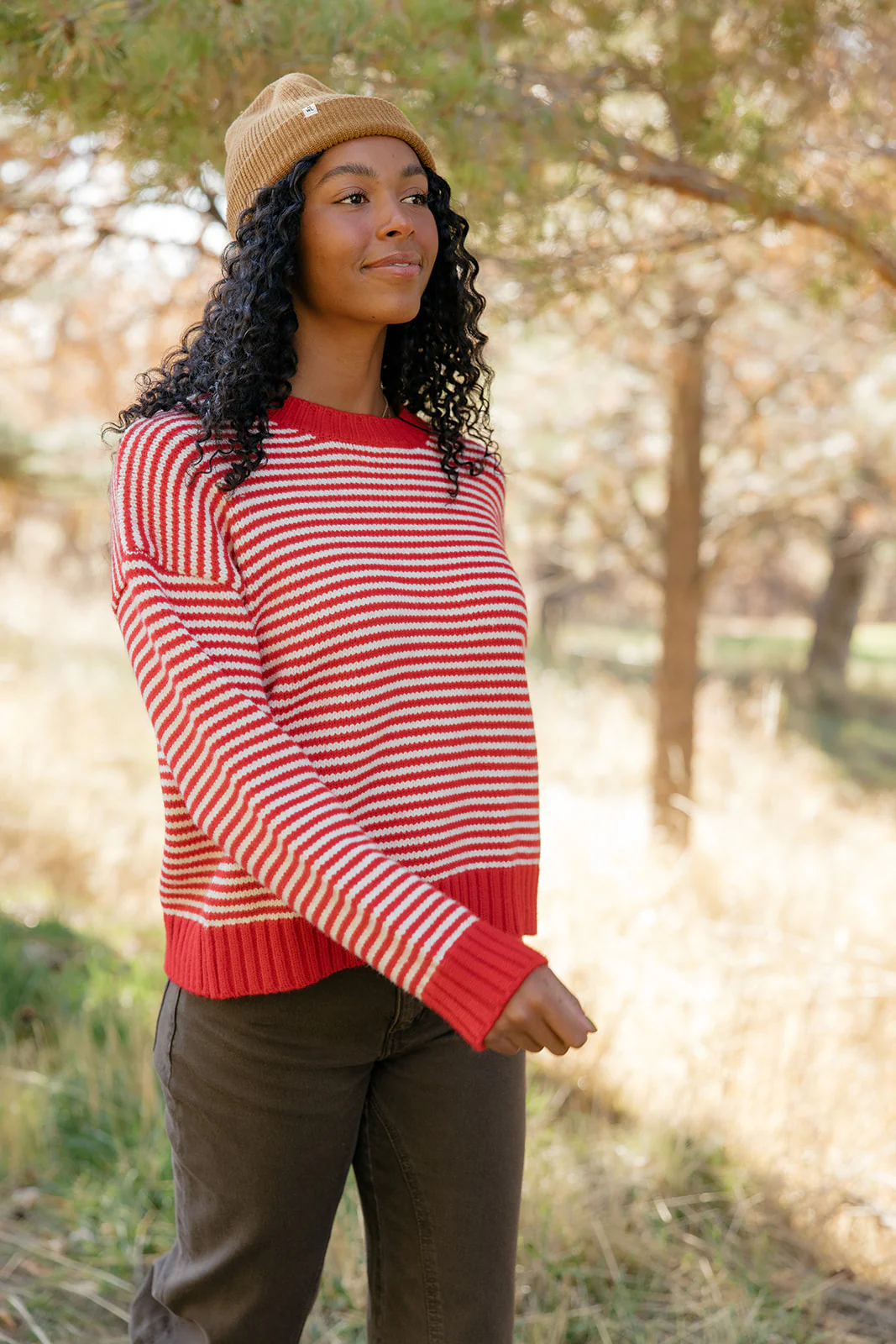 Cranberry Chalet Stripe Sweater - Image 6
