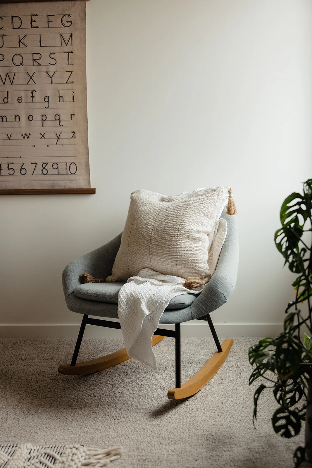 Finch Tassel Pillow - Image 5