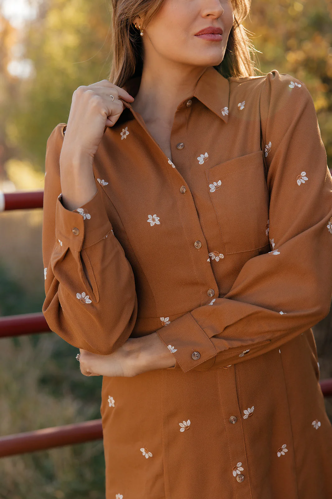 Haven Embroidered Collared Dress - Image 2