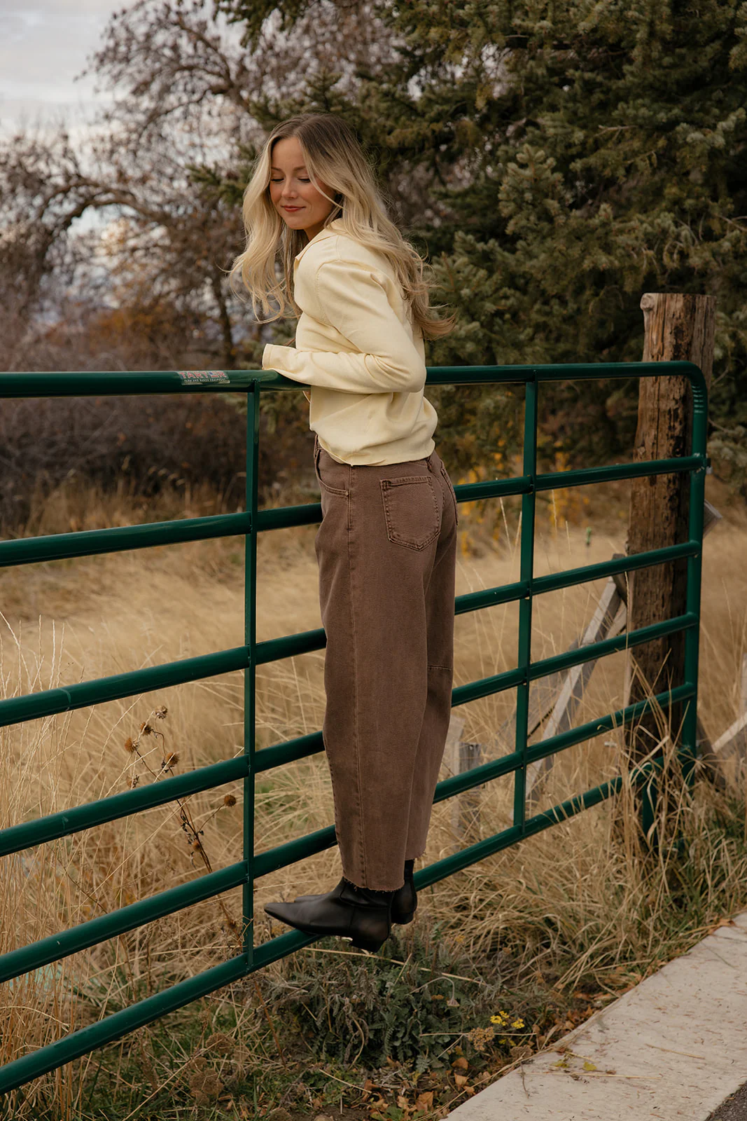 Mellow Yellow Collared Sweater - Image 10