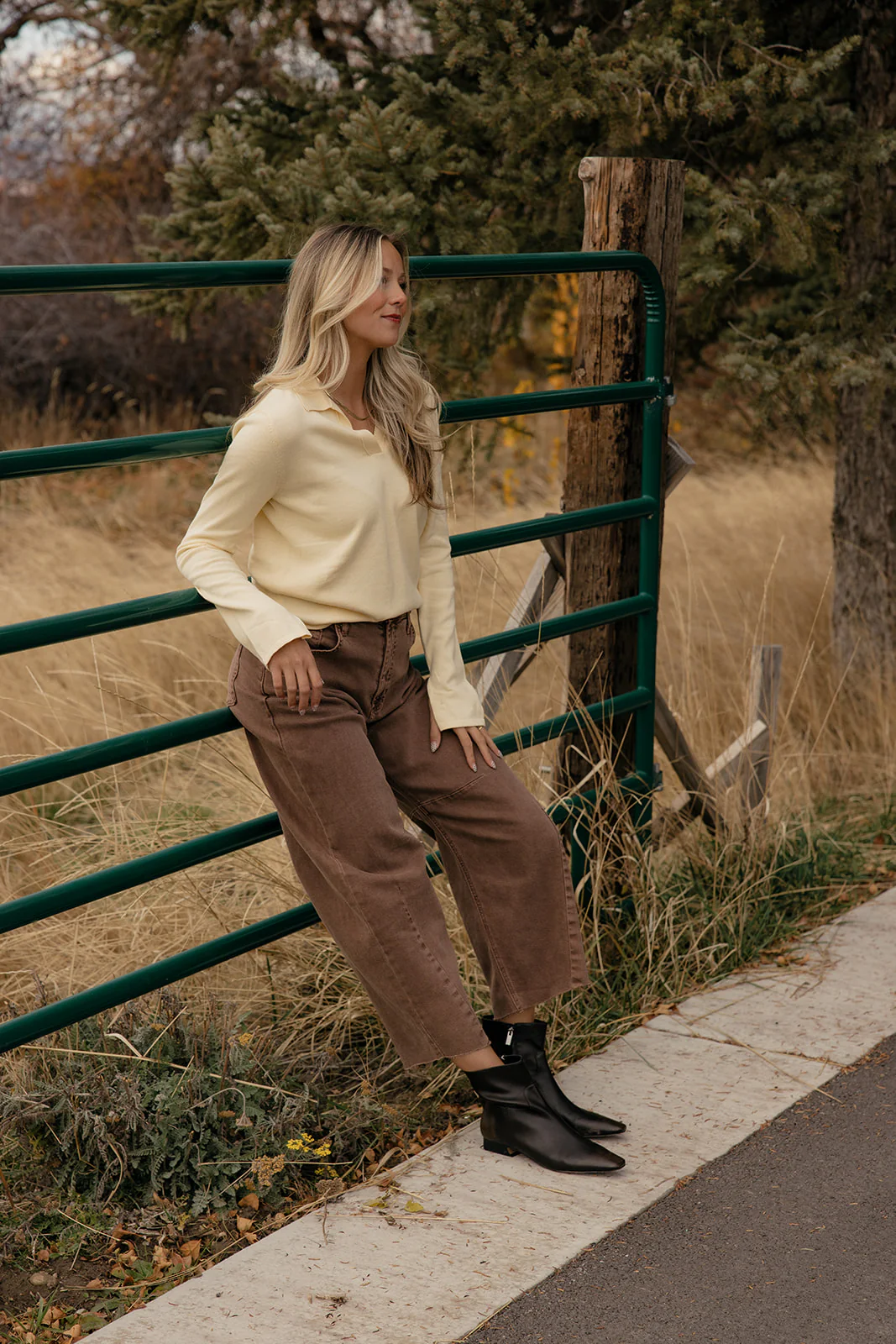 Mellow Yellow Collared Sweater - Image 9