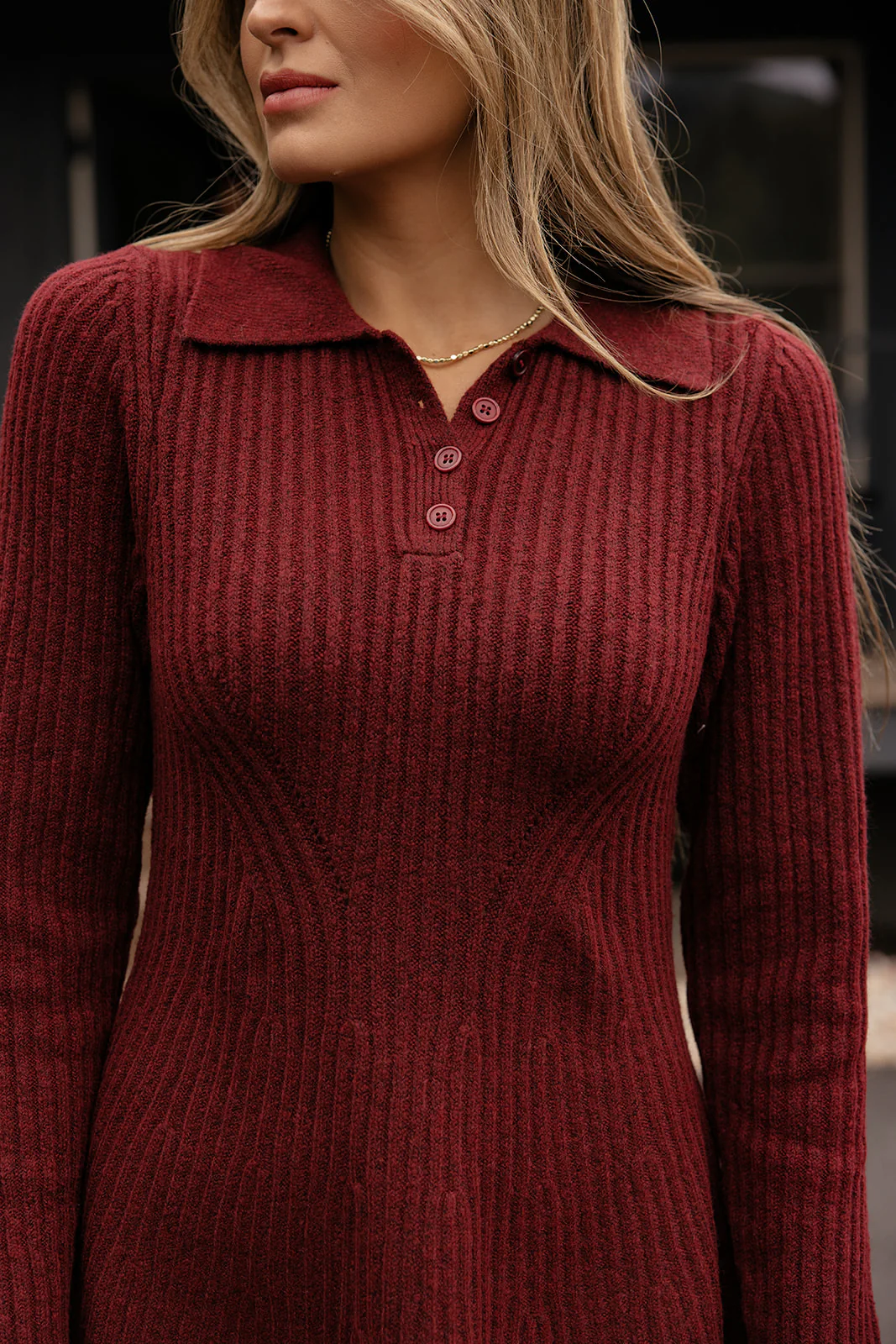 Mirabelle Knit Collared Dress - Image 2