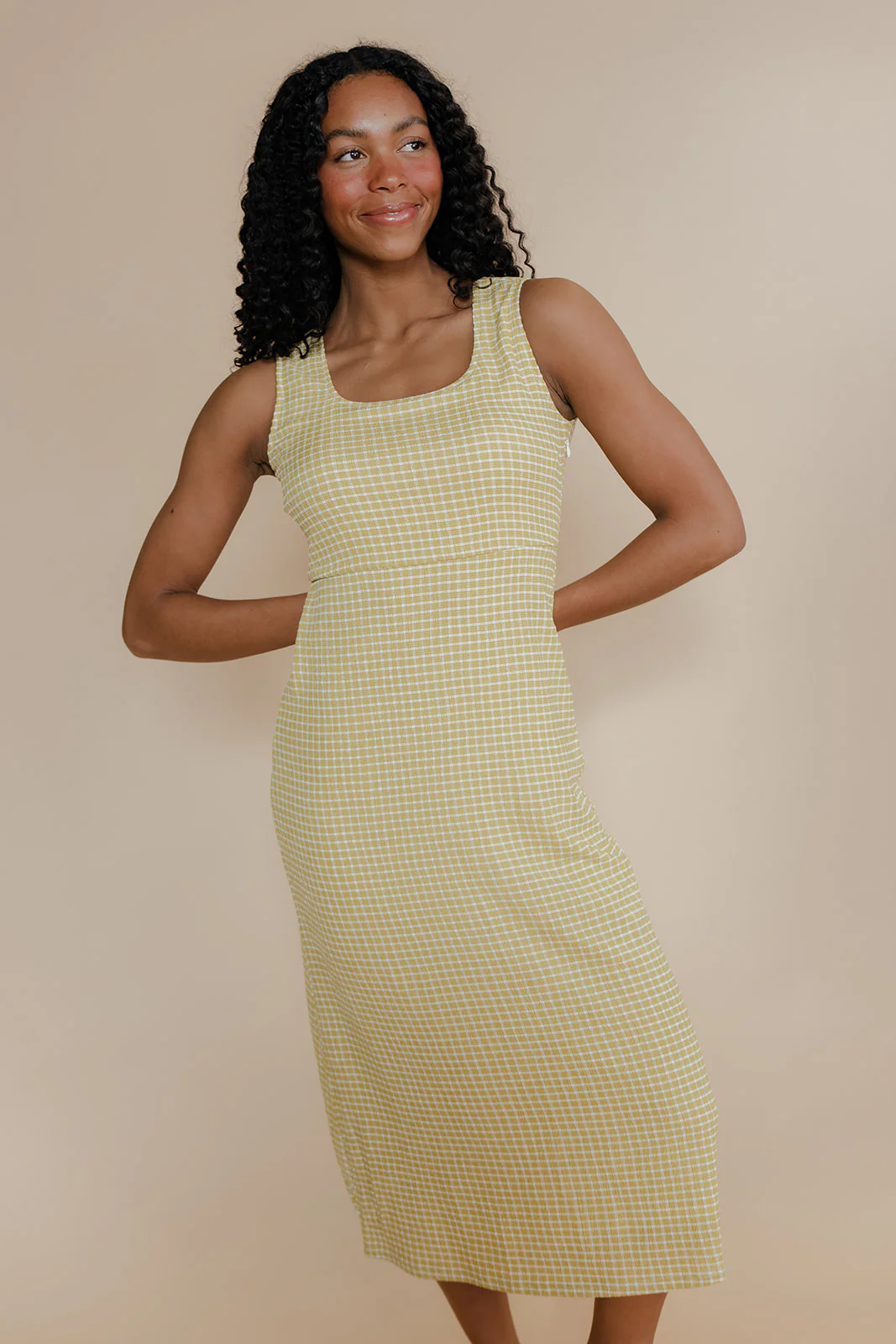 Picnic Please Gingham Dress
