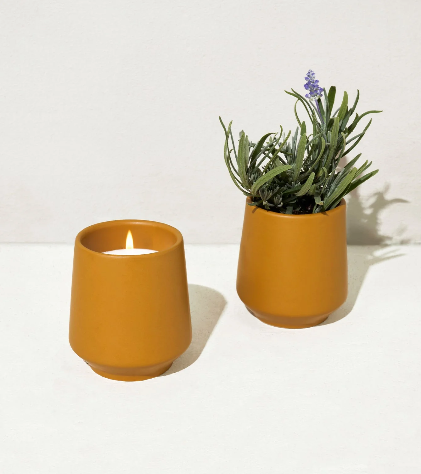 Rooted Candles - Image 11
