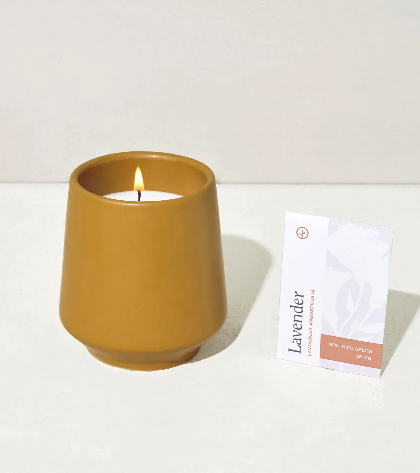 Rooted Candles - Image 13