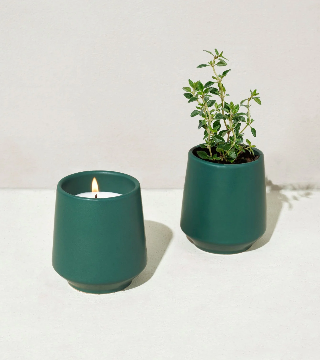 Rooted Candles - Image 14