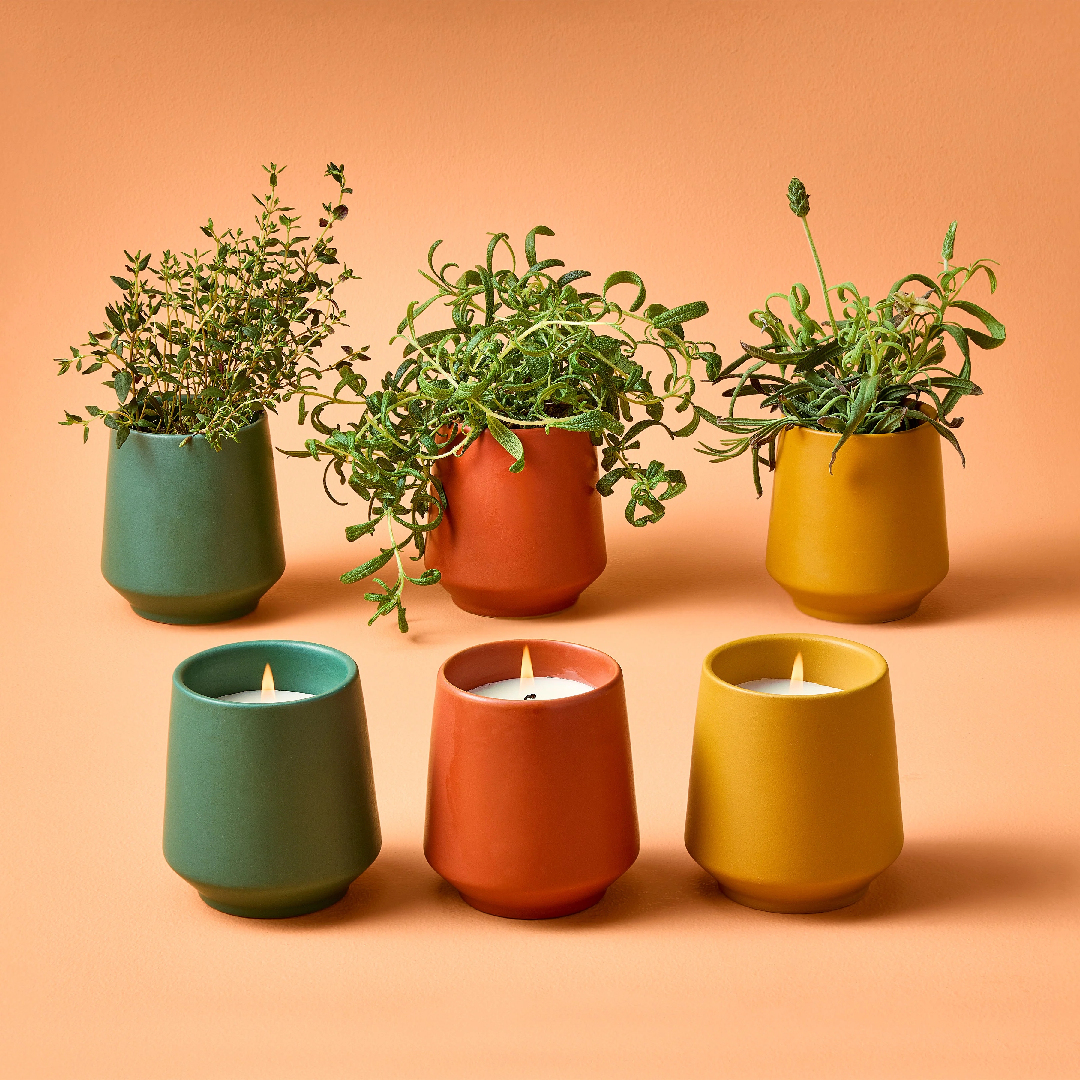 Rooted Candles - Image 4