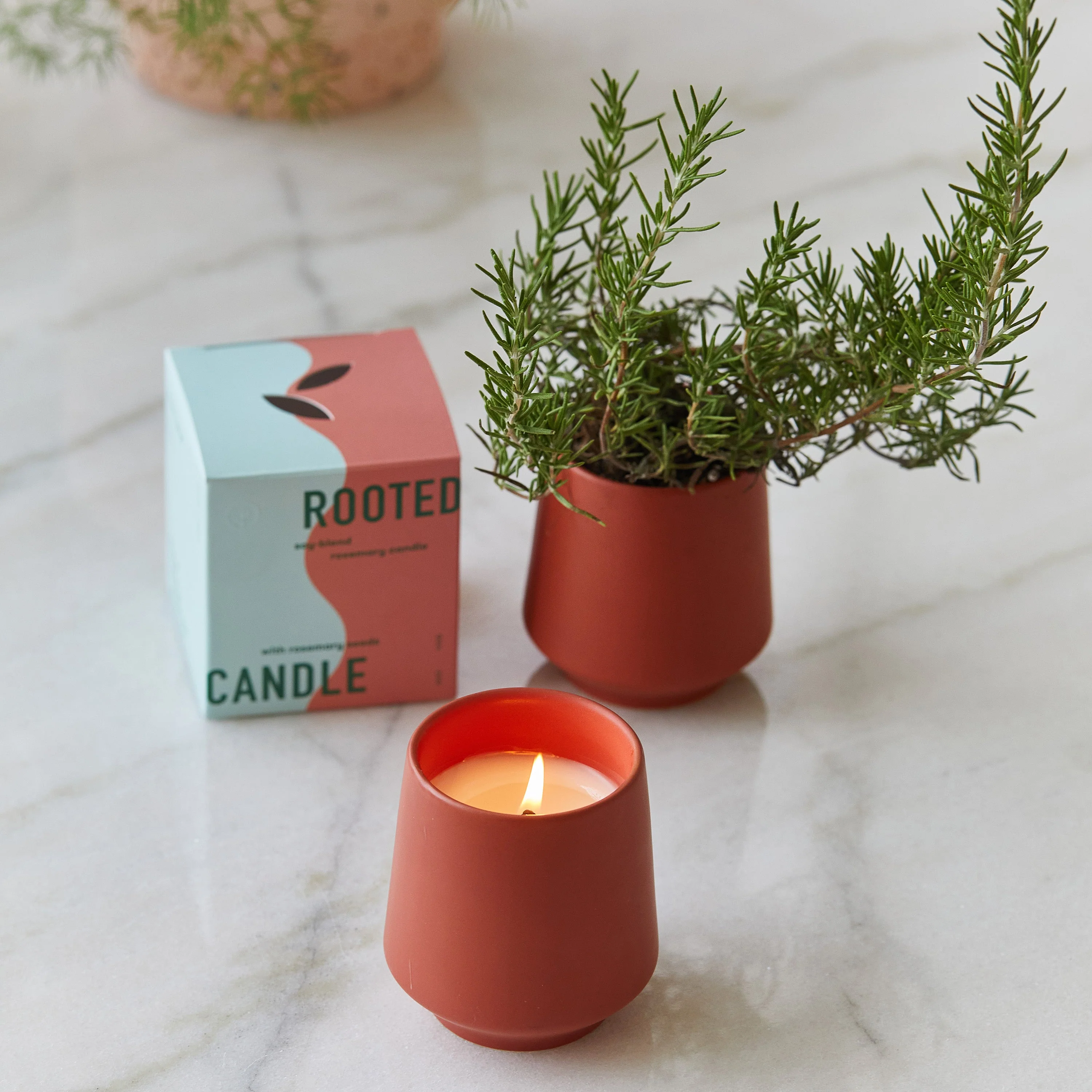 Rooted Candles - Image 5