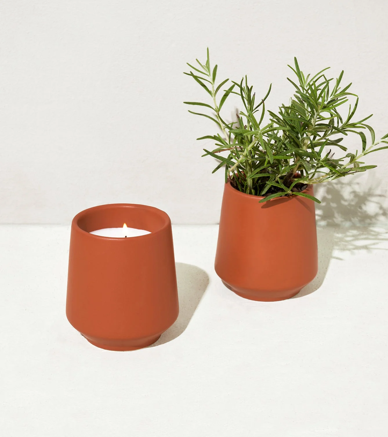 Rooted Candles - Image 8