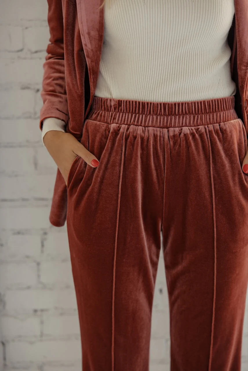 SALT Westgate Velvet Suit Pants - Image 3