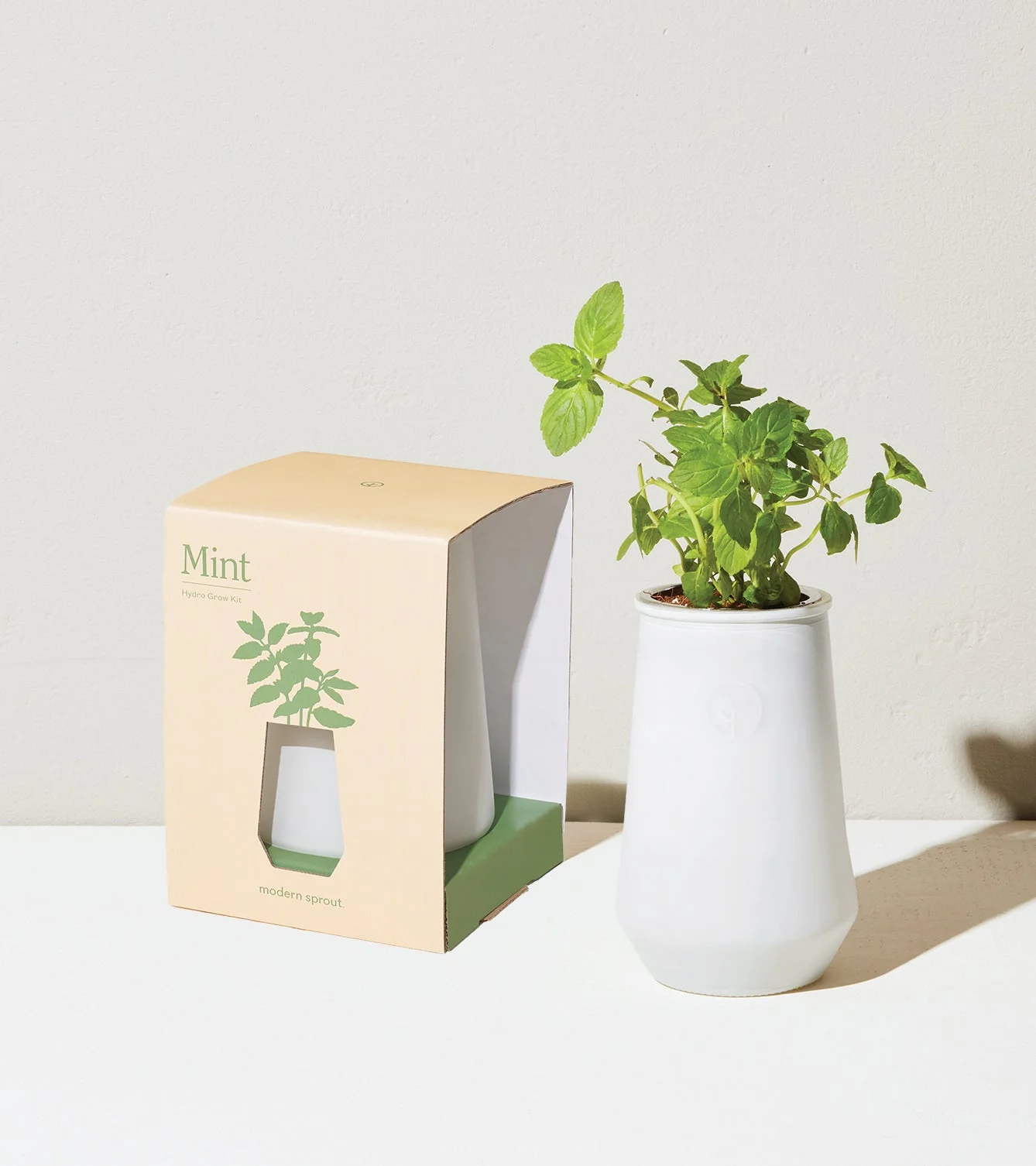 Tapered Tumbler Grow Kits - Image 6