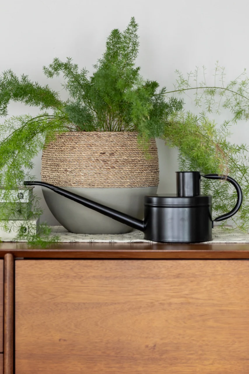 The Wednesday Watering Can