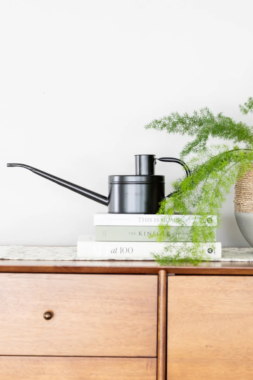 The Wednesday Watering Can - Image 2