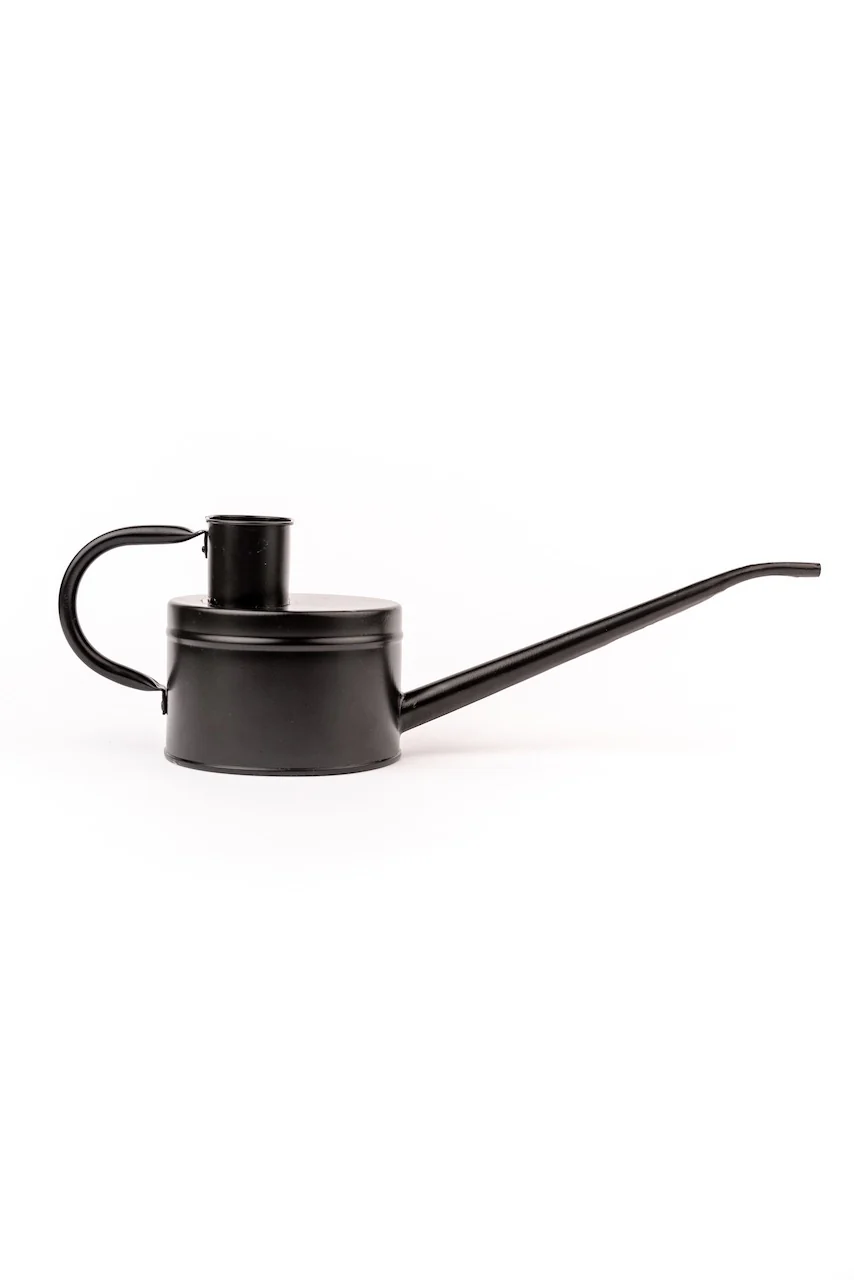 The Wednesday Watering Can - Image 3