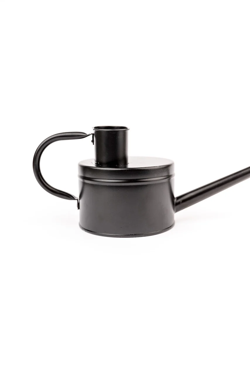 The Wednesday Watering Can - Image 4