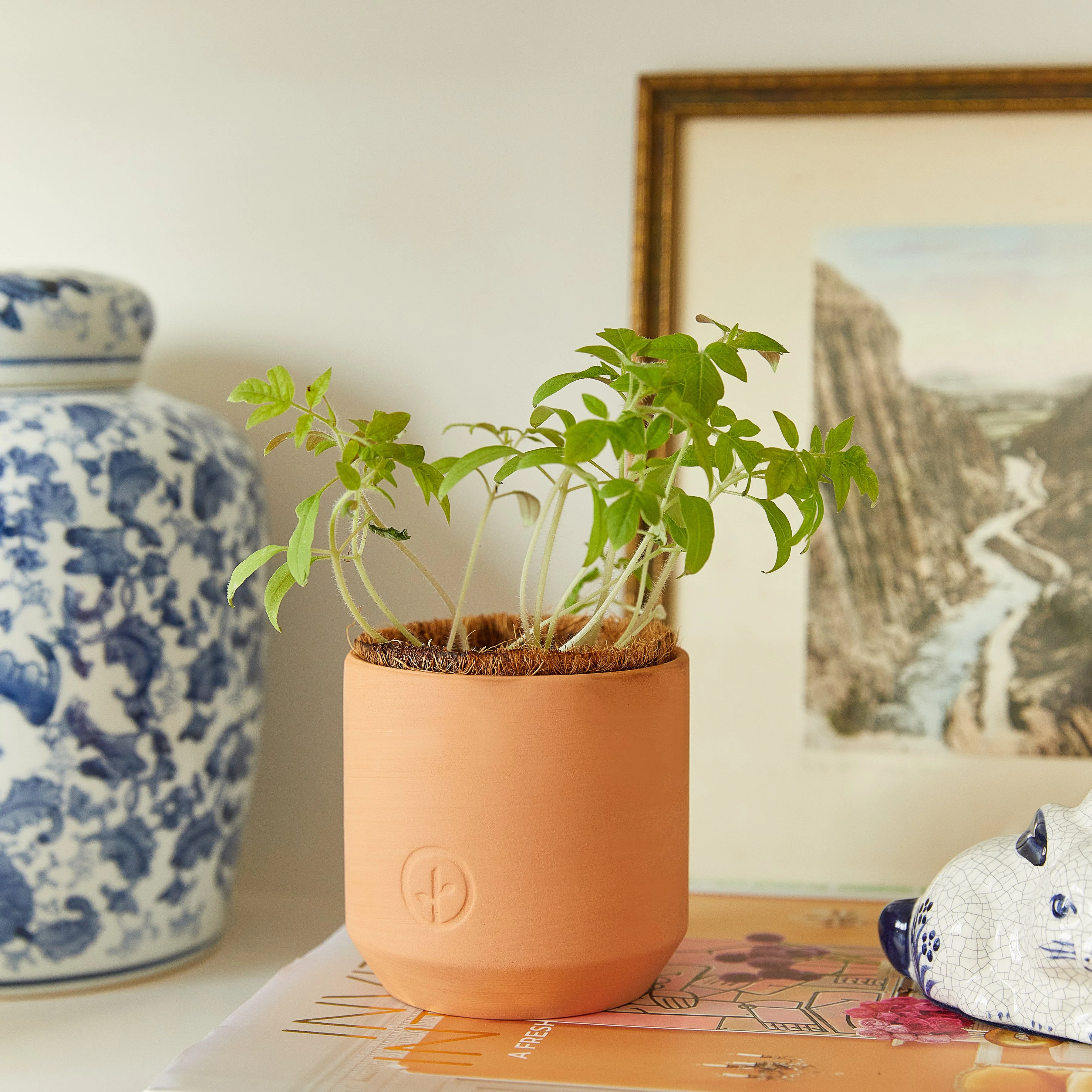Tiny Terracotta Garden Kits - Image 10