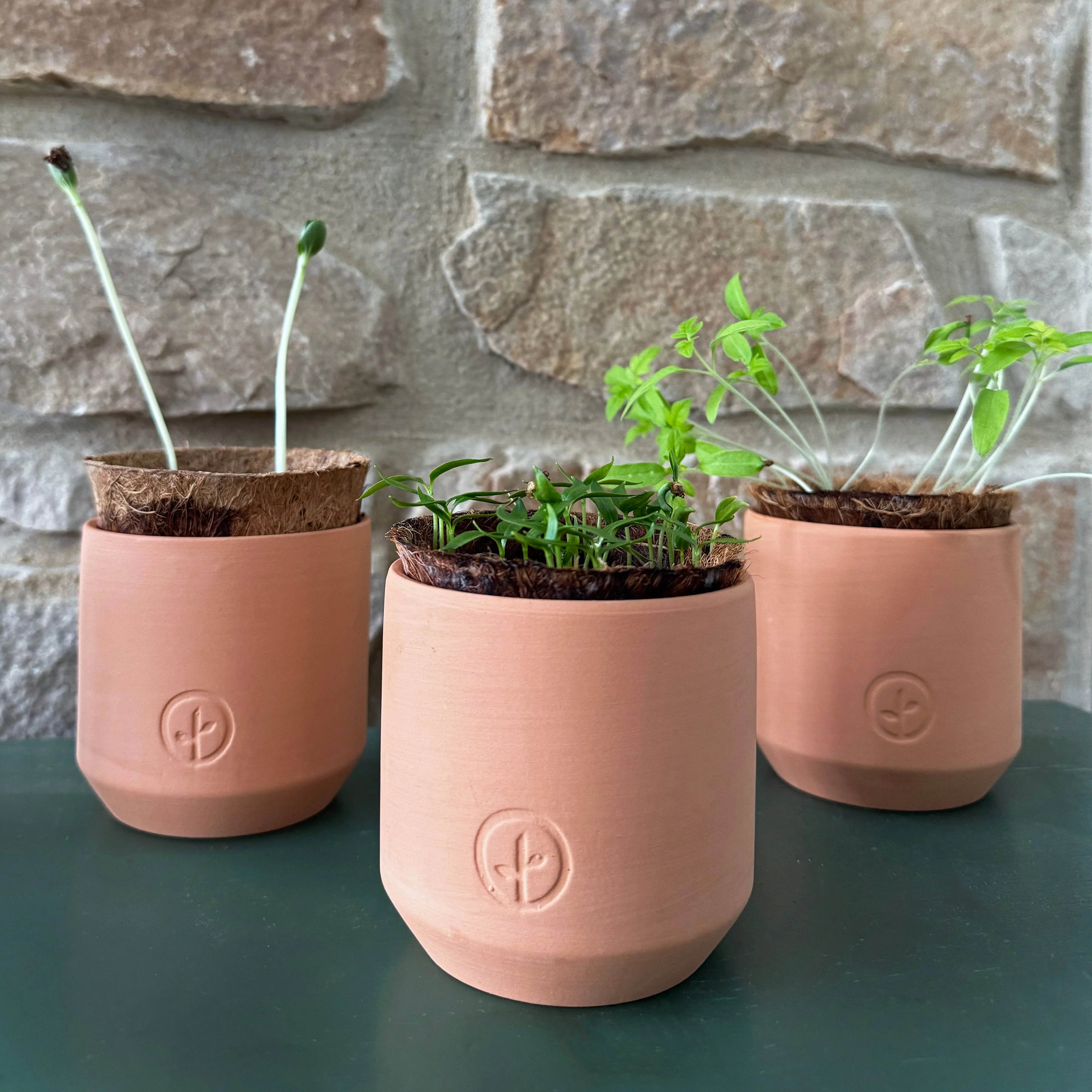 Tiny Terracotta Garden Kits - Image 5